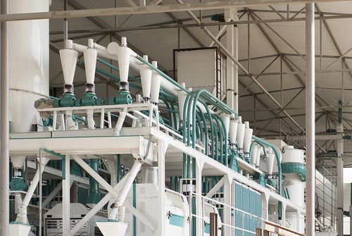 河南中瑞粮油机械 面粉加工工艺流程、设备制造与光伏设备销售业务概览