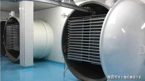 冻干粥生产设备及工艺流程解析与光伏设备元器件销售市场概览